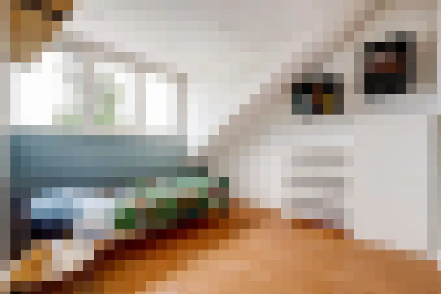 Van Blitterswijckstraat 40 Horst thumbnail 19