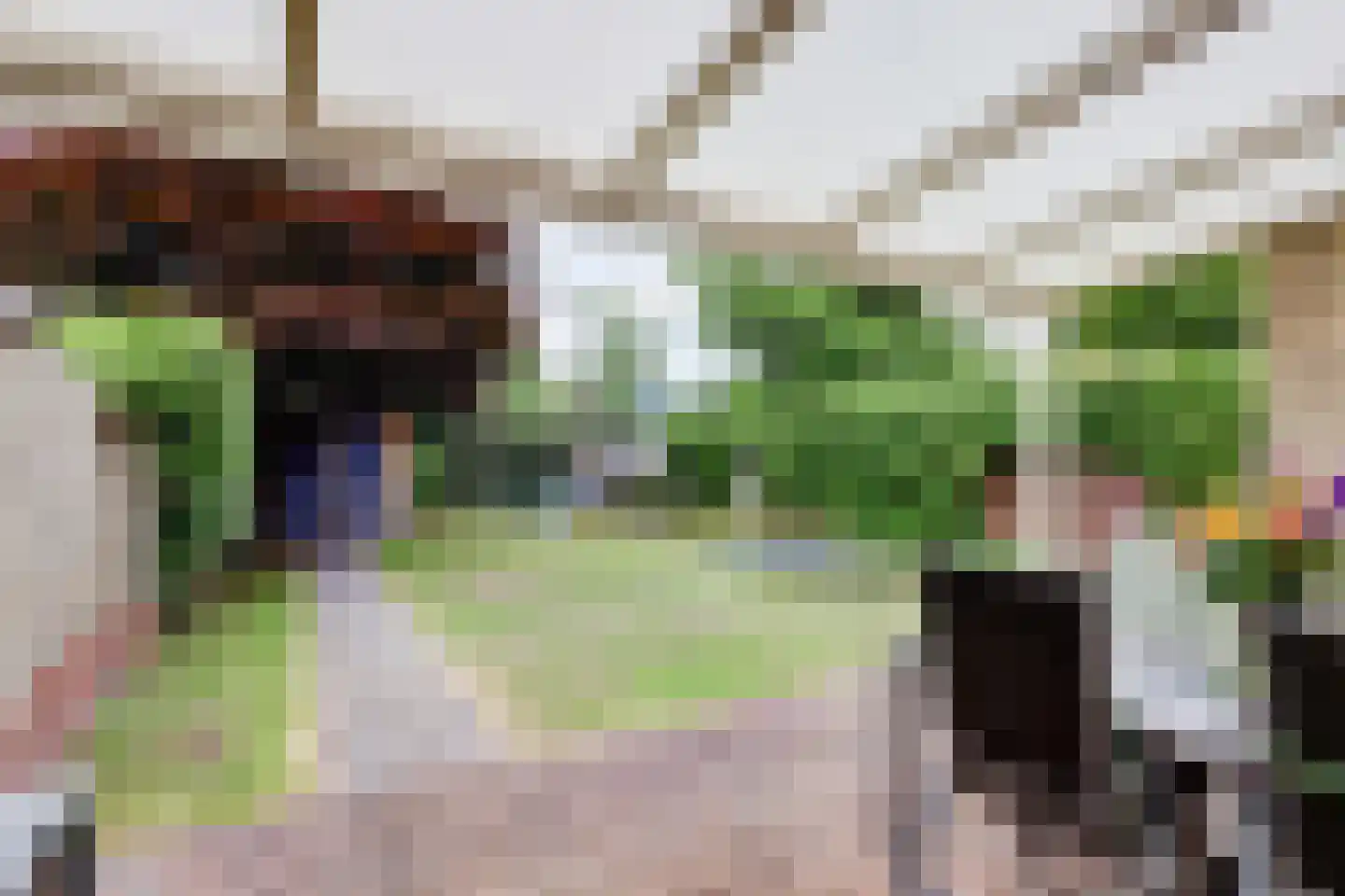 Van Blitterswijckstraat 40 Horst thumbnail 23