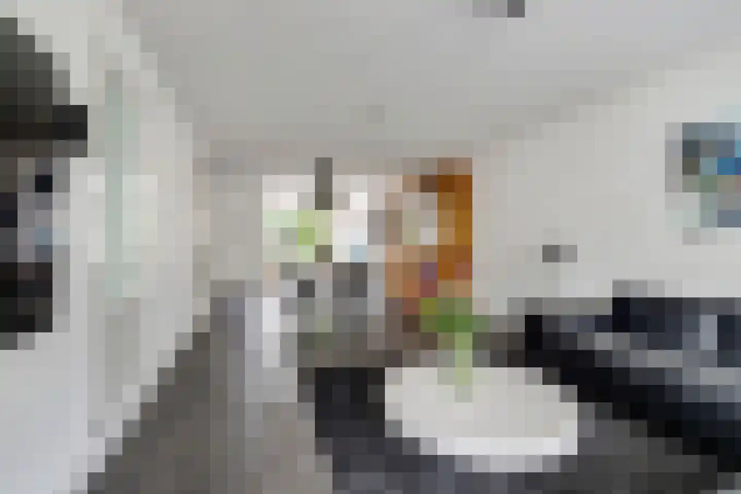 Van Blitterswijckstraat 40 Horst thumbnail 4