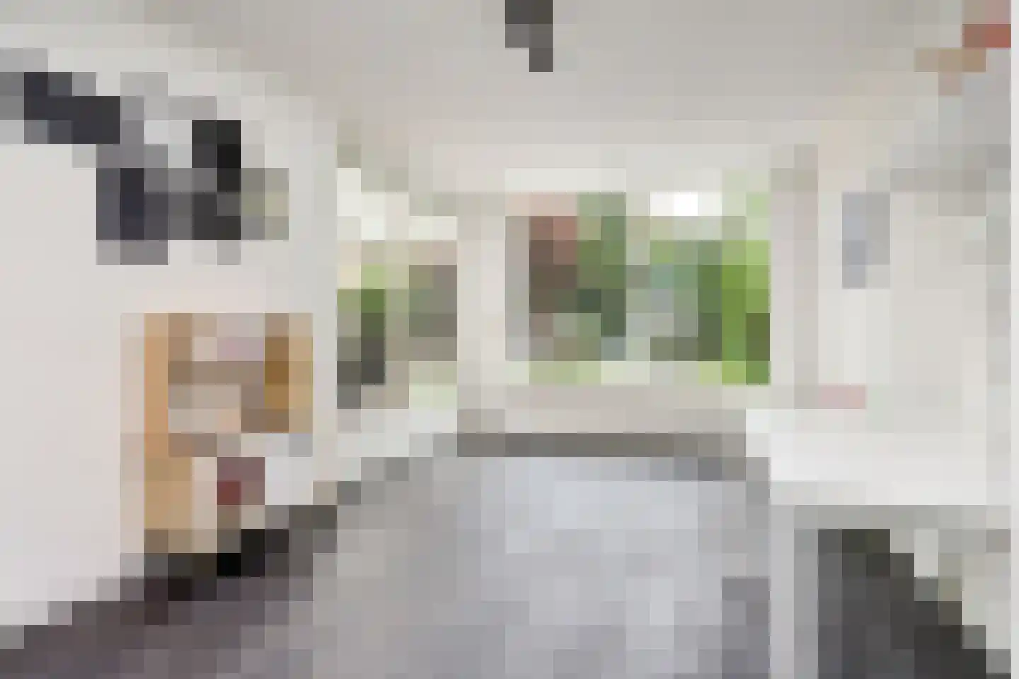 Van Blitterswijckstraat 40 Horst thumbnail 5
