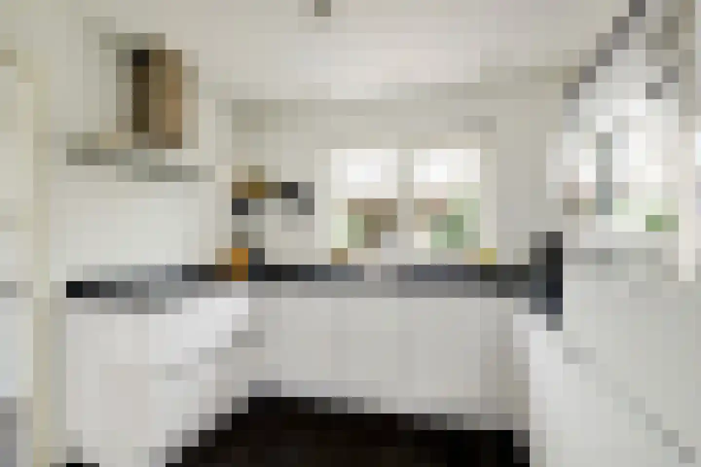 Van Blitterswijckstraat 40 Horst thumbnail 7