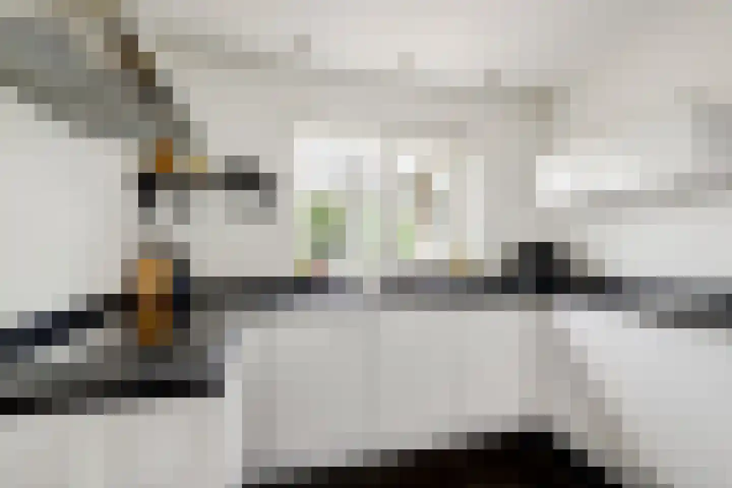 Van Blitterswijckstraat 40 Horst thumbnail 8