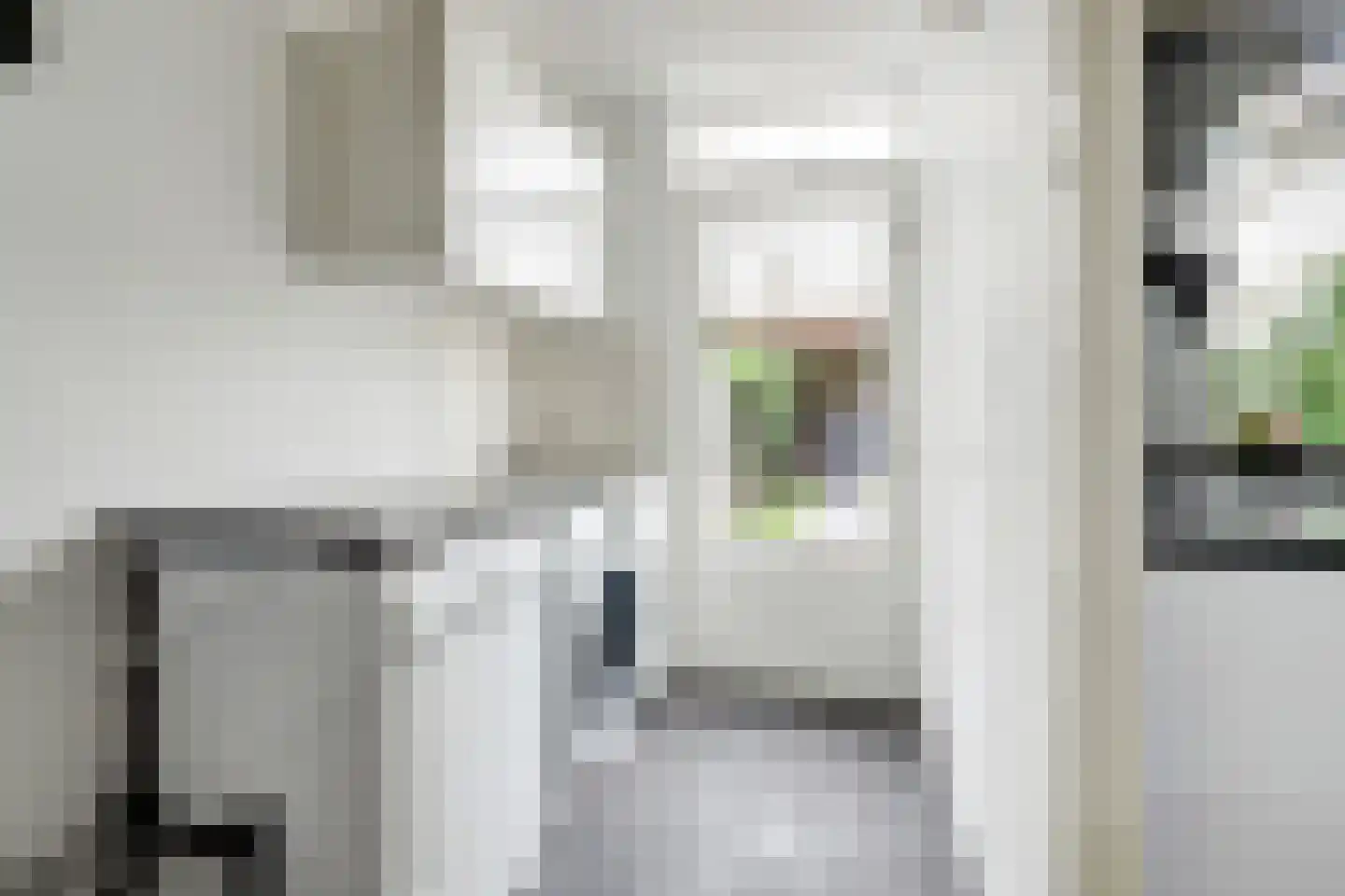 Van Blitterswijckstraat 40 Horst thumbnail 9