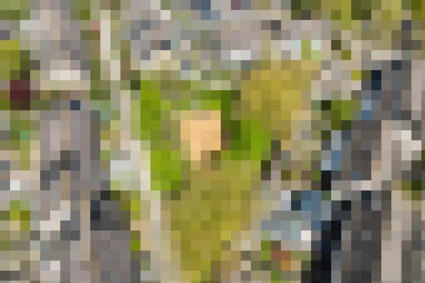 Van Blocklandtstraat 1 Ede thumbnail 29