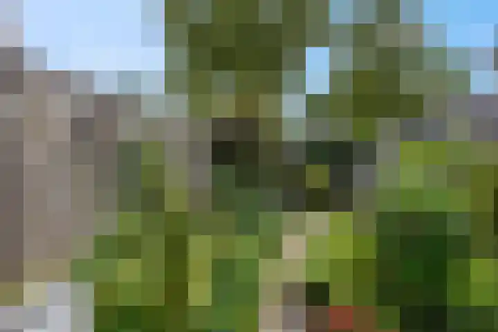 Van Blocklandtstraat 2 Ede thumbnail 27