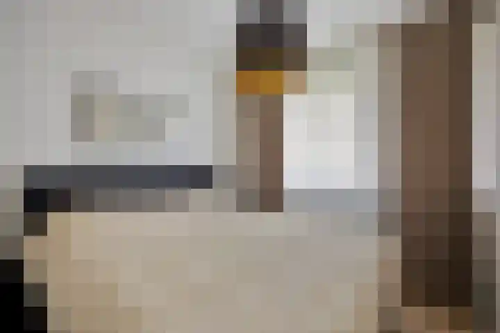 Van Blommesteinstraat 6 Delft thumbnail 14