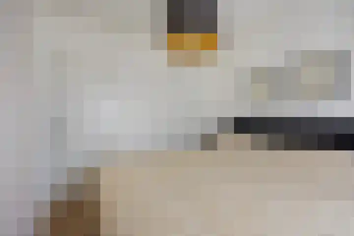 Van Blommesteinstraat 6 Delft thumbnail 15