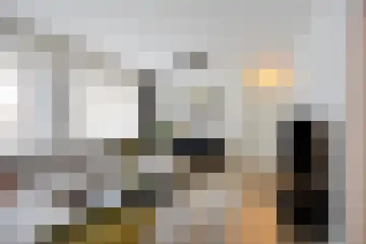 Van Blommesteinstraat 6 Delft thumbnail 8