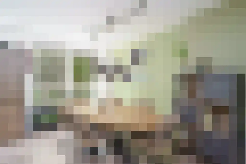 Van Blommesteinstraat 8 B Delft thumbnail 6