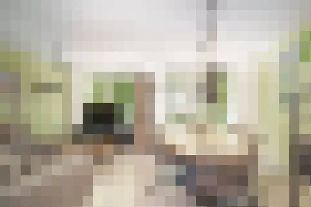 Van Blommesteinstraat 8 B Delft thumbnail 7