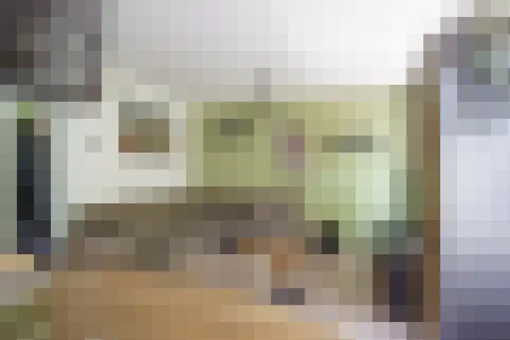 Van Blommesteinstraat 8 B Delft thumbnail 9