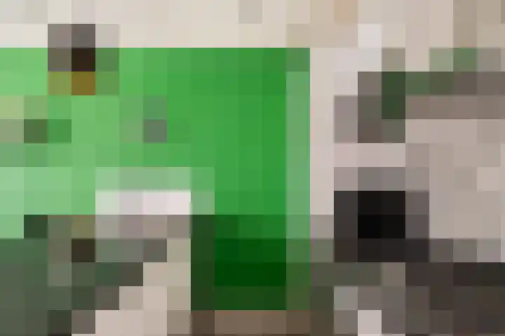 Van Blommesteynweg 26 Rotterdam thumbnail 13