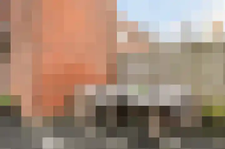 Van Blommesteynweg 26 Rotterdam thumbnail 21