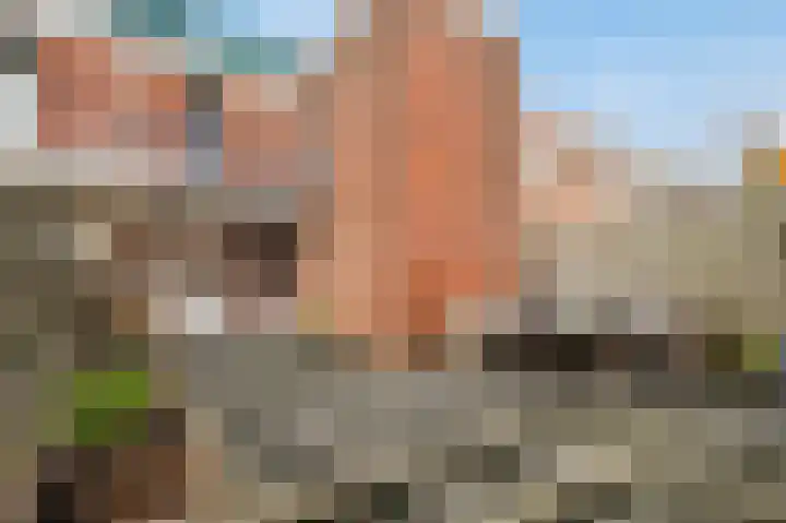 Van Blommesteynweg 26 Rotterdam thumbnail 5