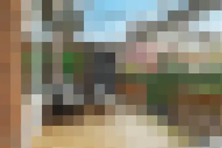Van Blommesteynweg 43 Rotterdam thumbnail 38