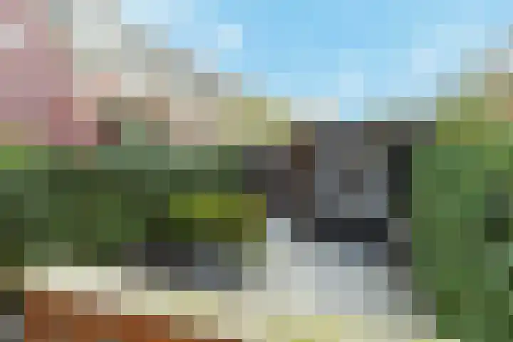 Van Blommesteynweg 43 Rotterdam thumbnail 39