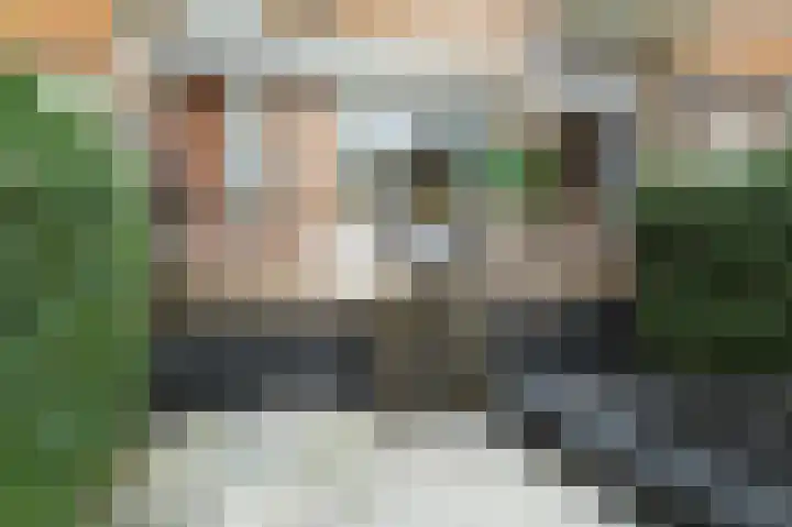 Van Blommesteynweg 43 Rotterdam thumbnail 4