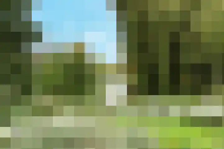Van Blommesteynweg 43 Rotterdam thumbnail 46