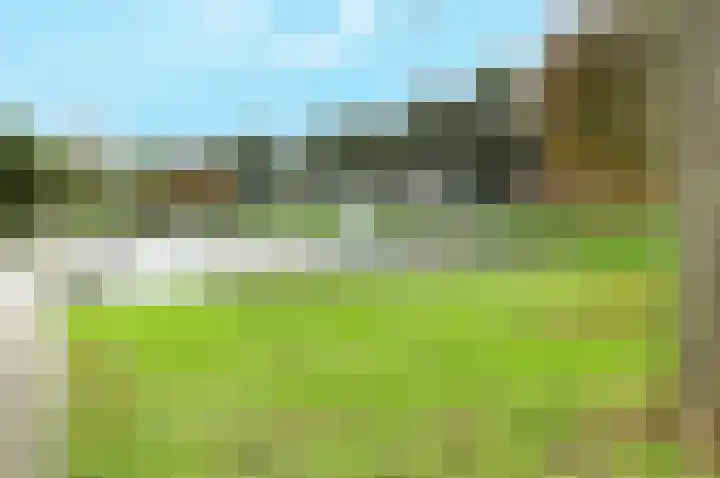 Van Blommesteynweg 43 Rotterdam thumbnail 5