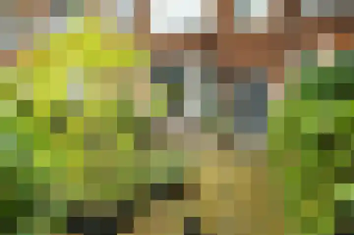 Van Blommesteynweg 43 Rotterdam thumbnail 6