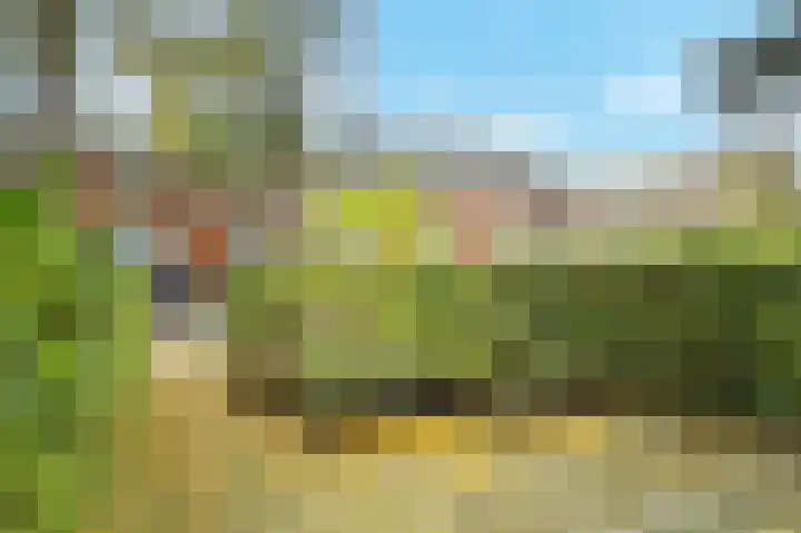 Van Blommesteynweg 43 Rotterdam thumbnail 7
