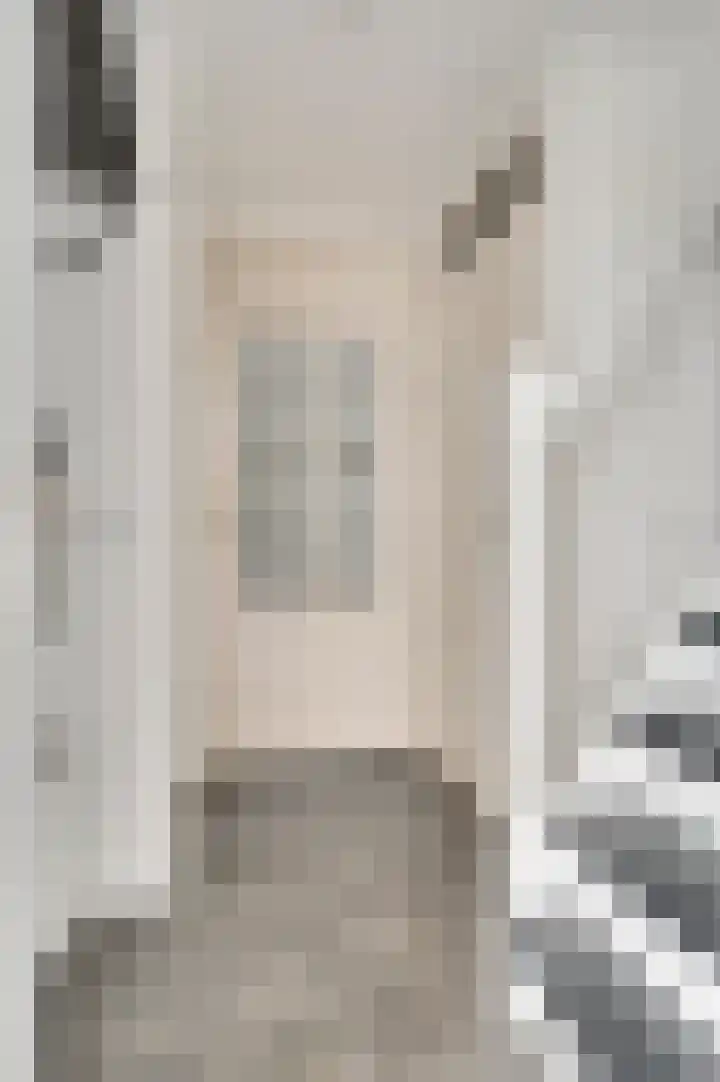 Van Bocholtzstraat 30 Horst thumbnail 14