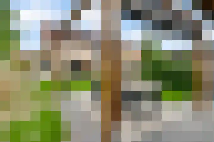 Van Bocholtzstraat 30 Horst thumbnail 36