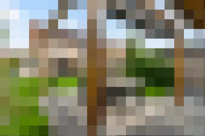 Van Bocholtzstraat 30 Horst thumbnail 43
