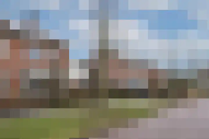 van Bodelswingstraat 44 Ootmarsum thumbnail 32