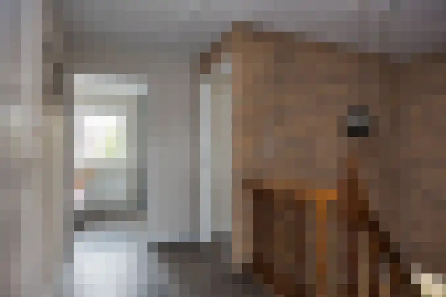 van Bodelswingstraat 6 Ootmarsum thumbnail 17