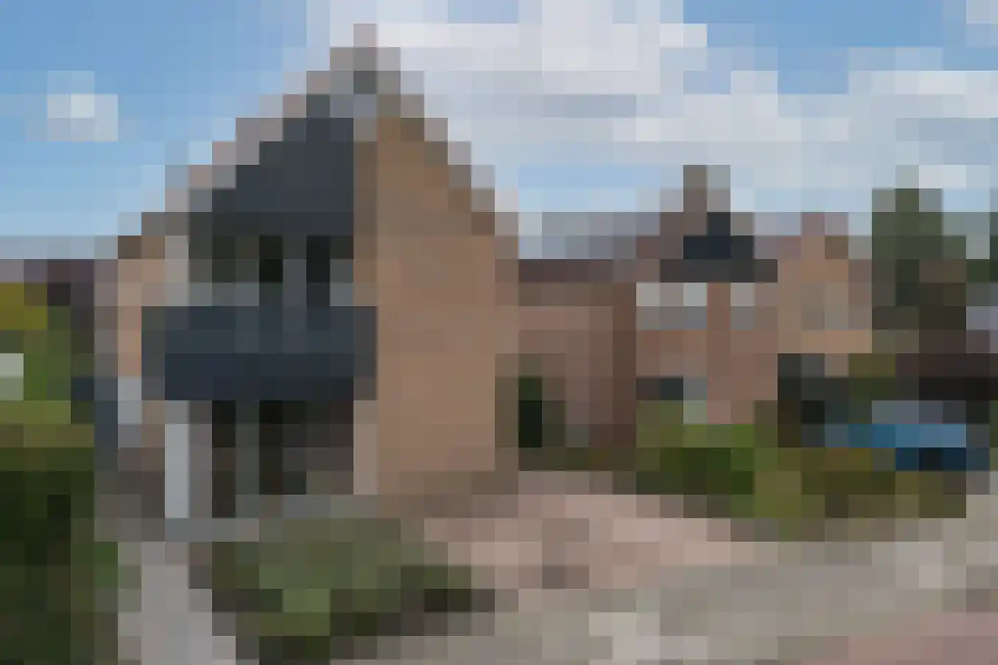 van Bodelswingstraat 6 Ootmarsum thumbnail 34