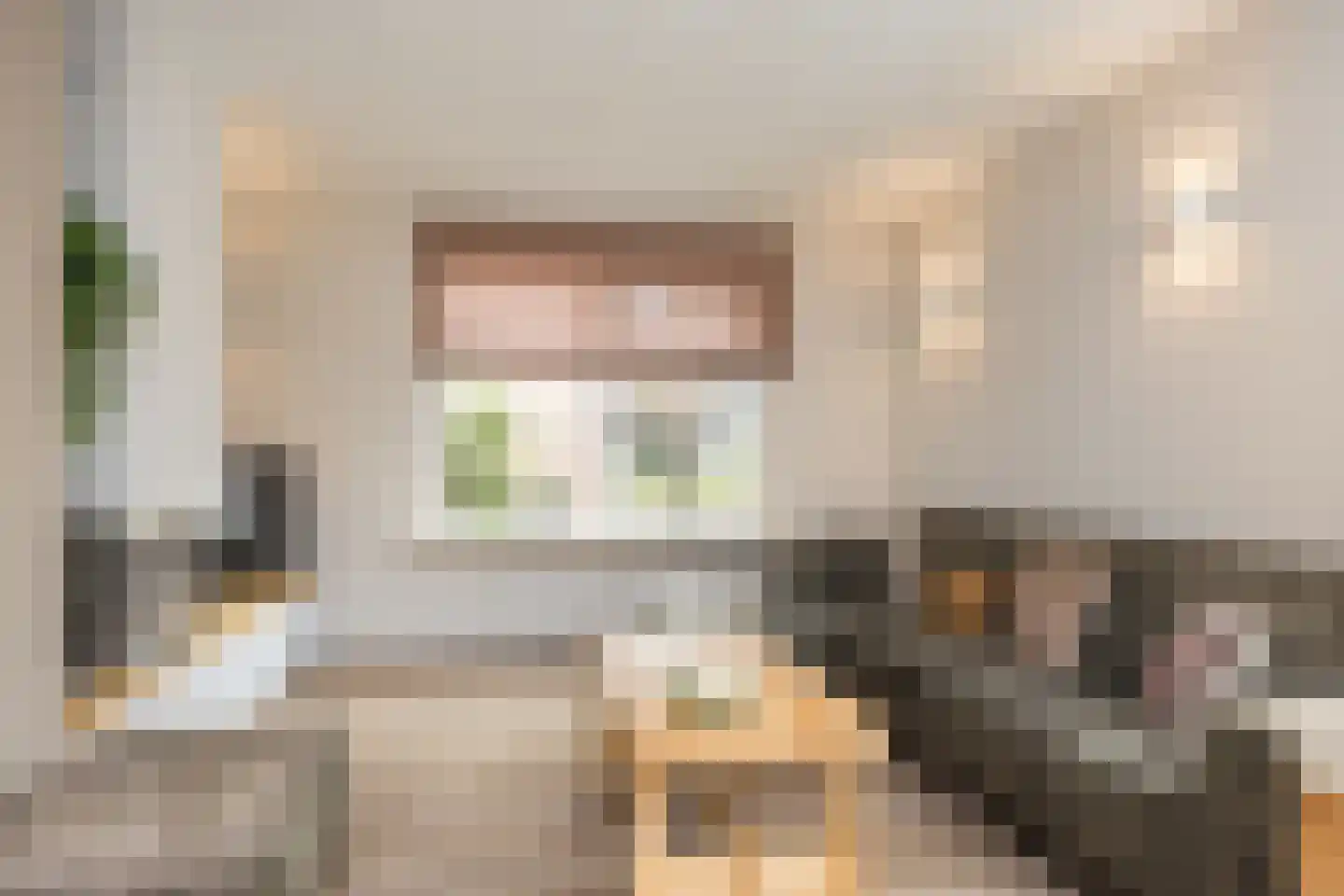 van Bodelswingstraat 6 Ootmarsum thumbnail 7