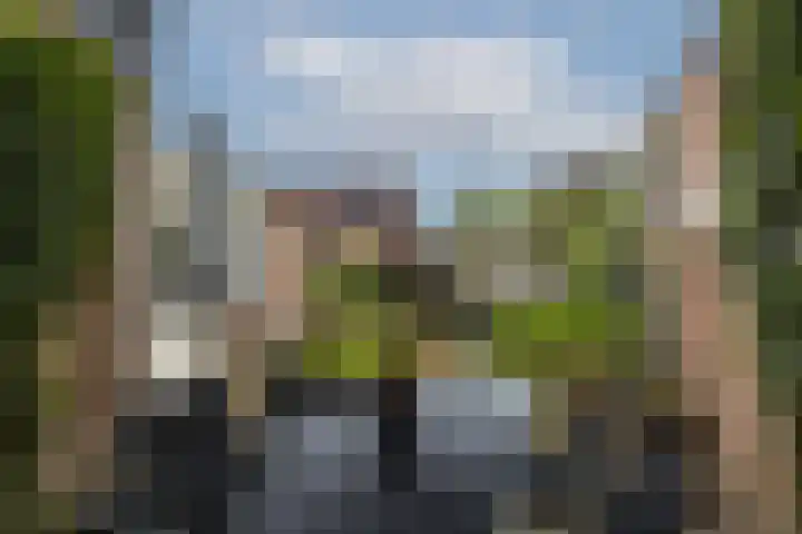 van Bodelswingstraat 8 Ootmarsum thumbnail 37
