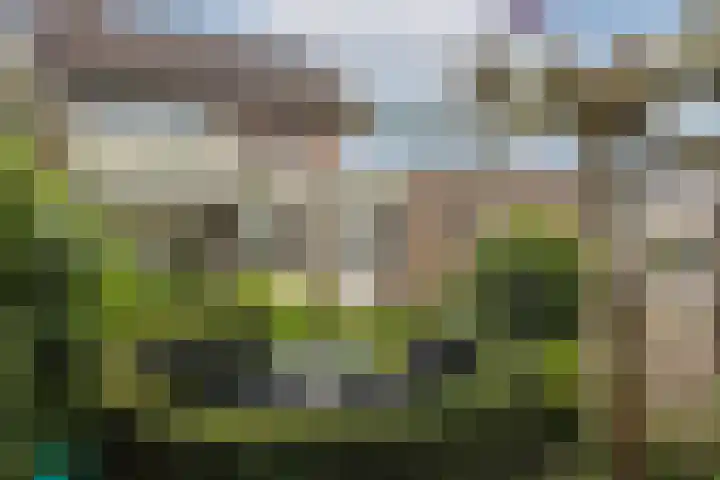 van Bodelswingstraat 8 Ootmarsum thumbnail 39