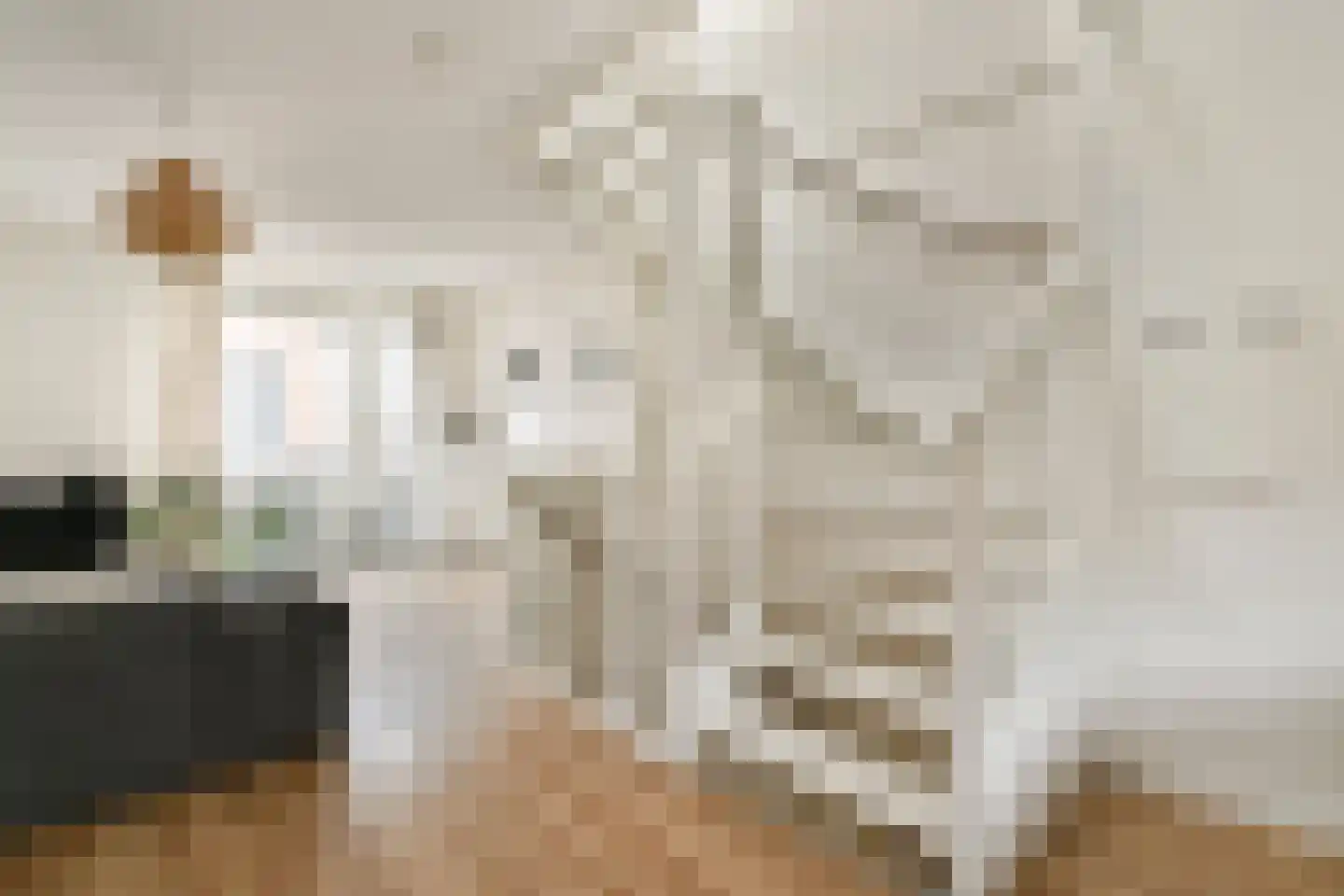 Van Boecopkade 105 Den Haag thumbnail 8