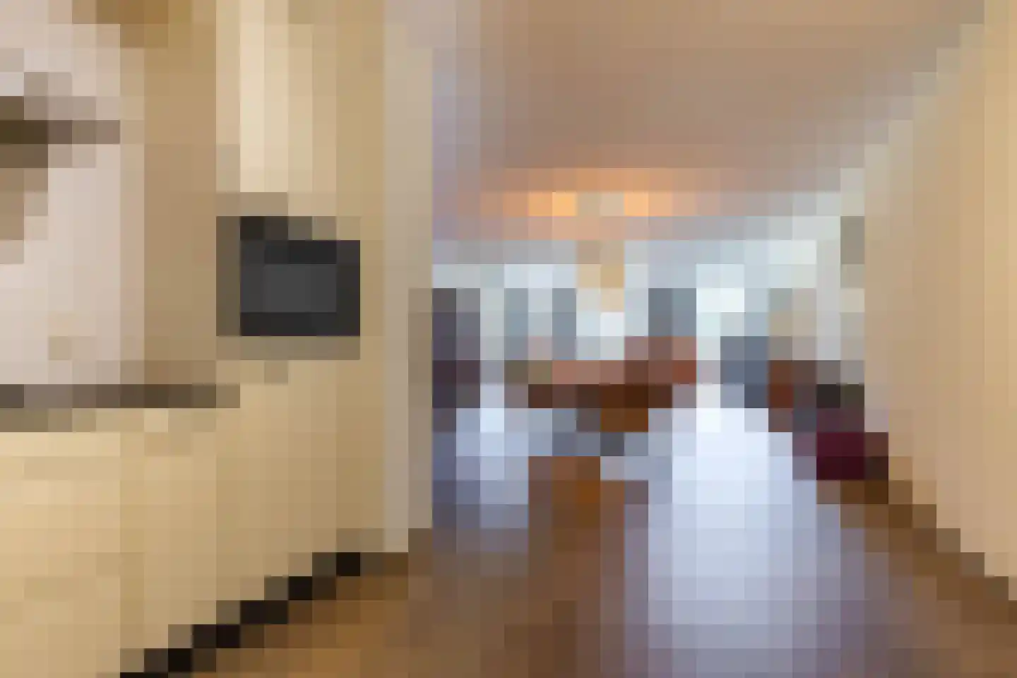 Van Boelenslaan 24 Beetsterzwaag thumbnail 14