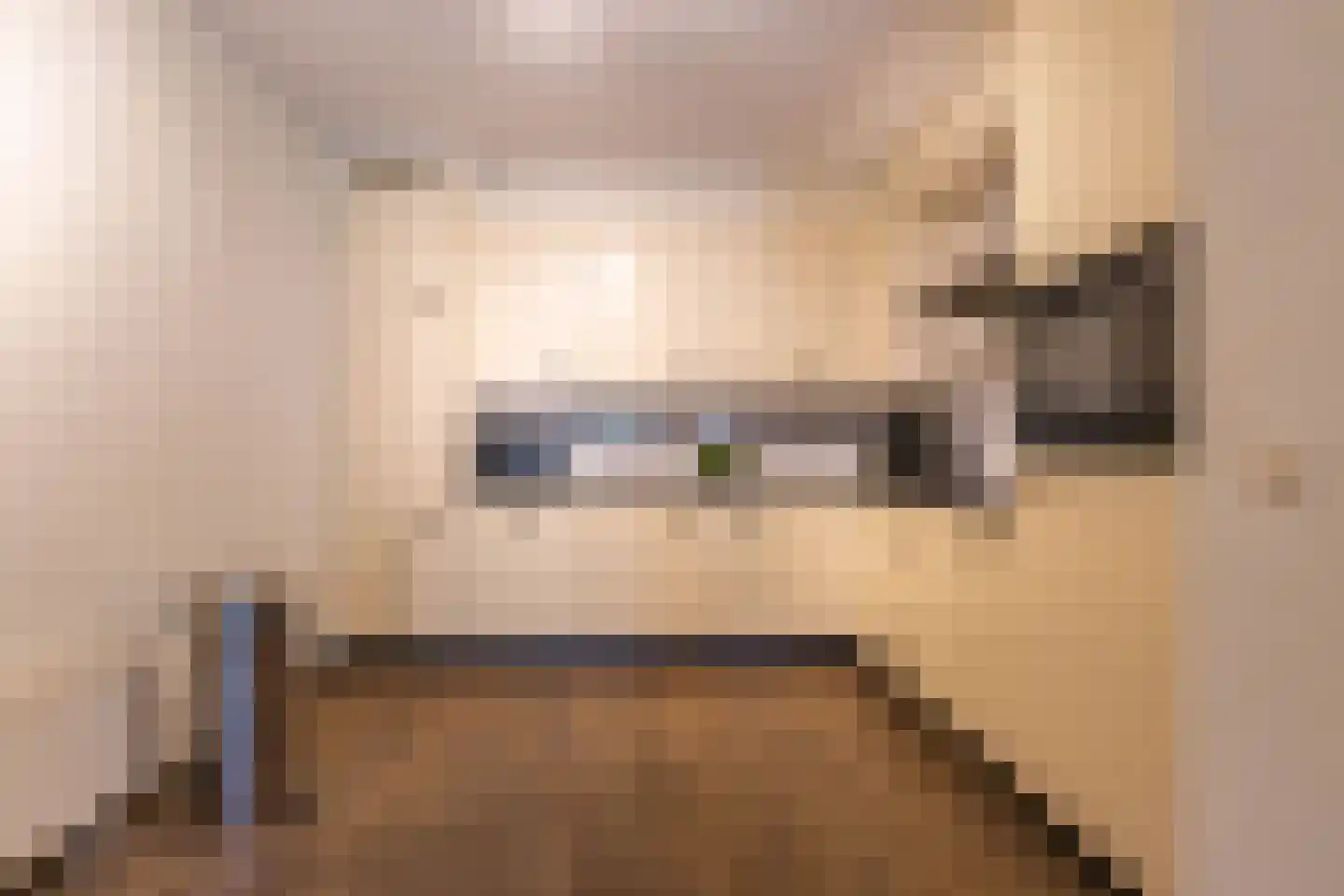 Van Boelenslaan 24 Beetsterzwaag thumbnail 17