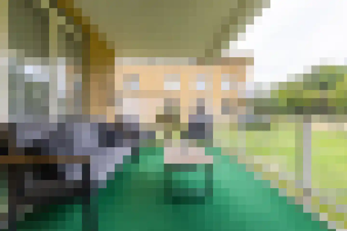 Van Boelenslaan 24 Beetsterzwaag thumbnail 29