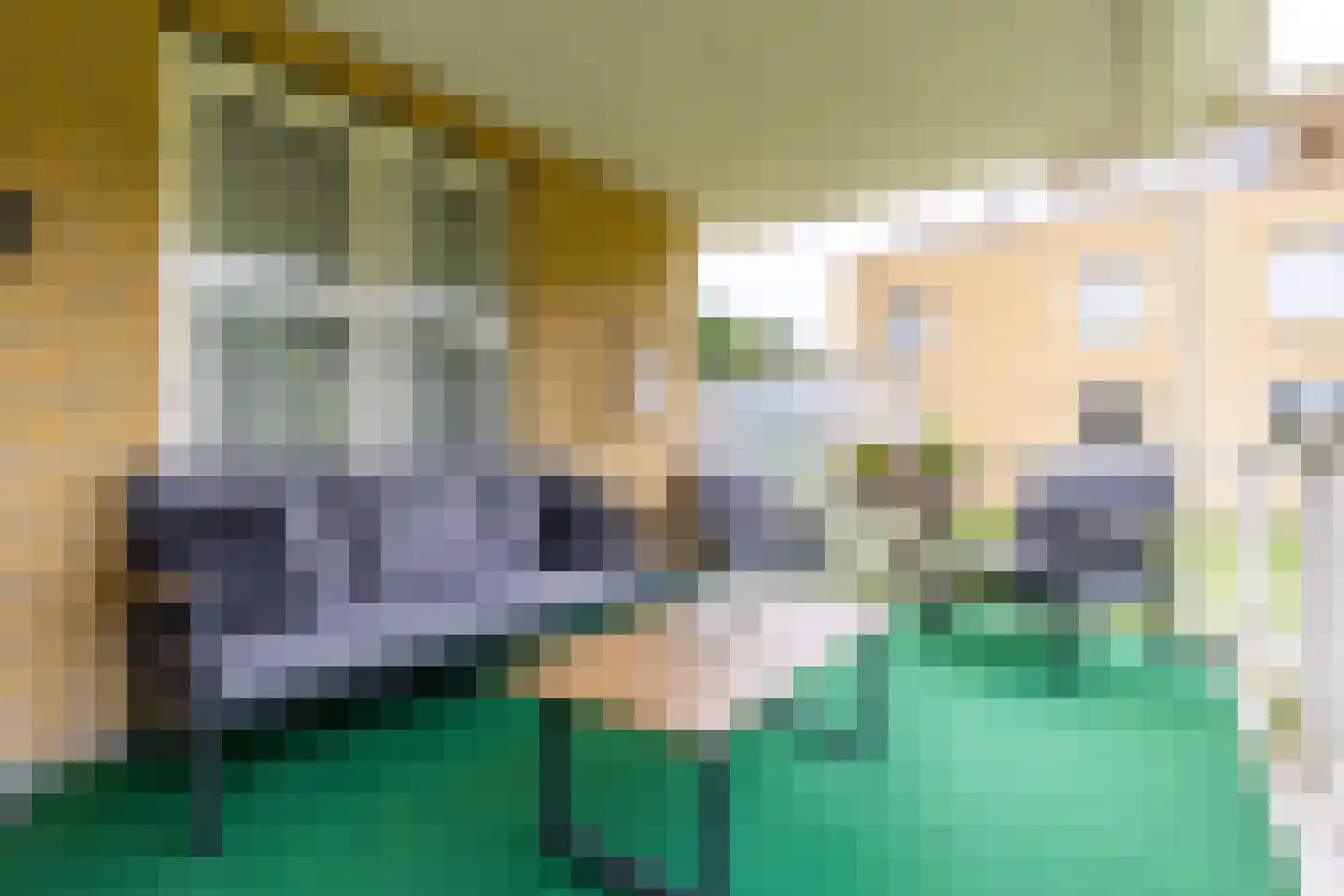 Van Boelenslaan 24 Beetsterzwaag thumbnail 30