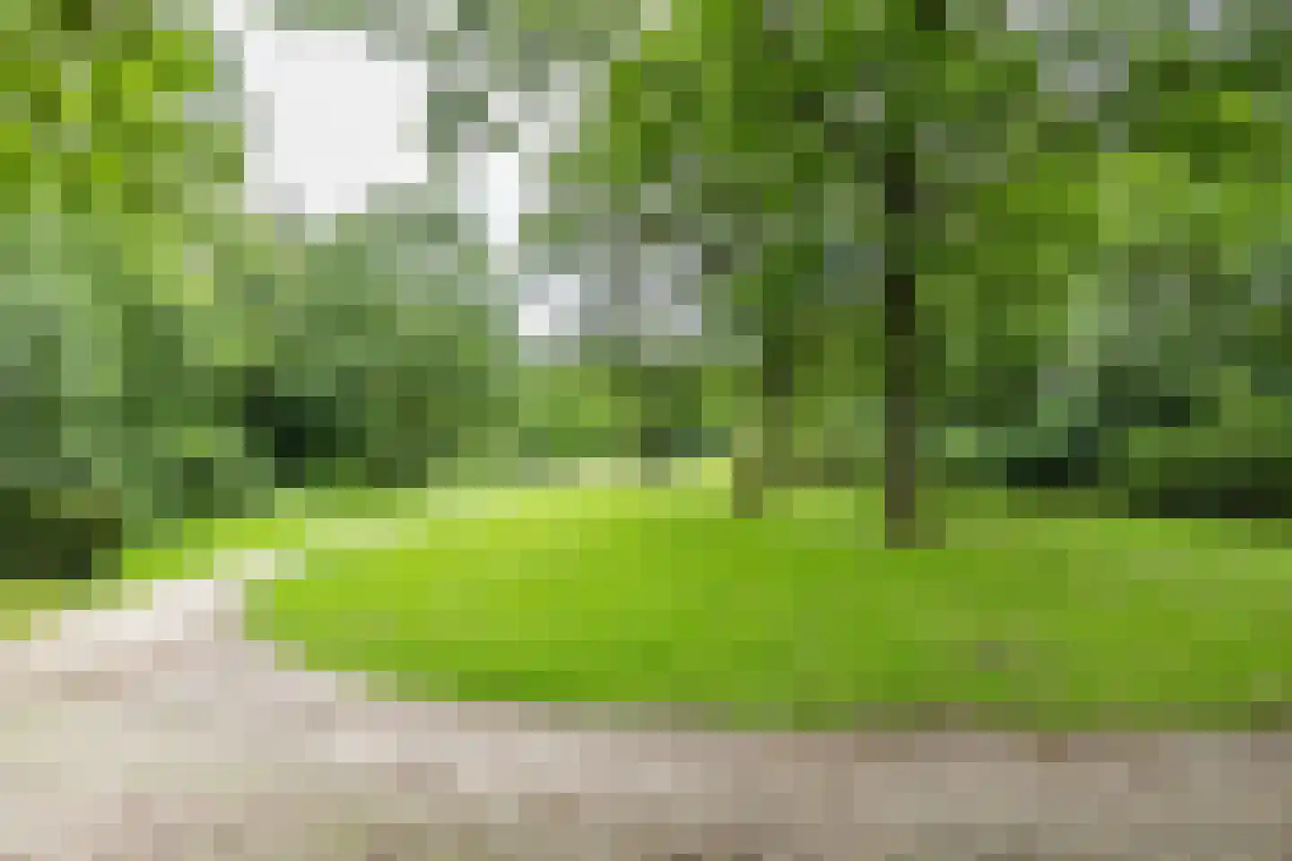 Van Boelenslaan 24 Beetsterzwaag thumbnail 46