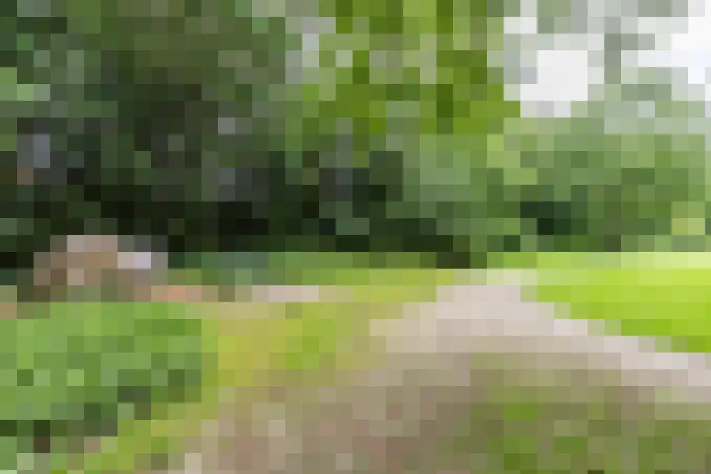 Van Boelenslaan 24 Beetsterzwaag thumbnail 47