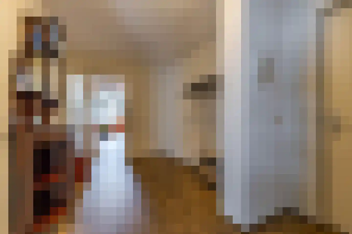 Van Boelenslaan 24 Beetsterzwaag thumbnail 6