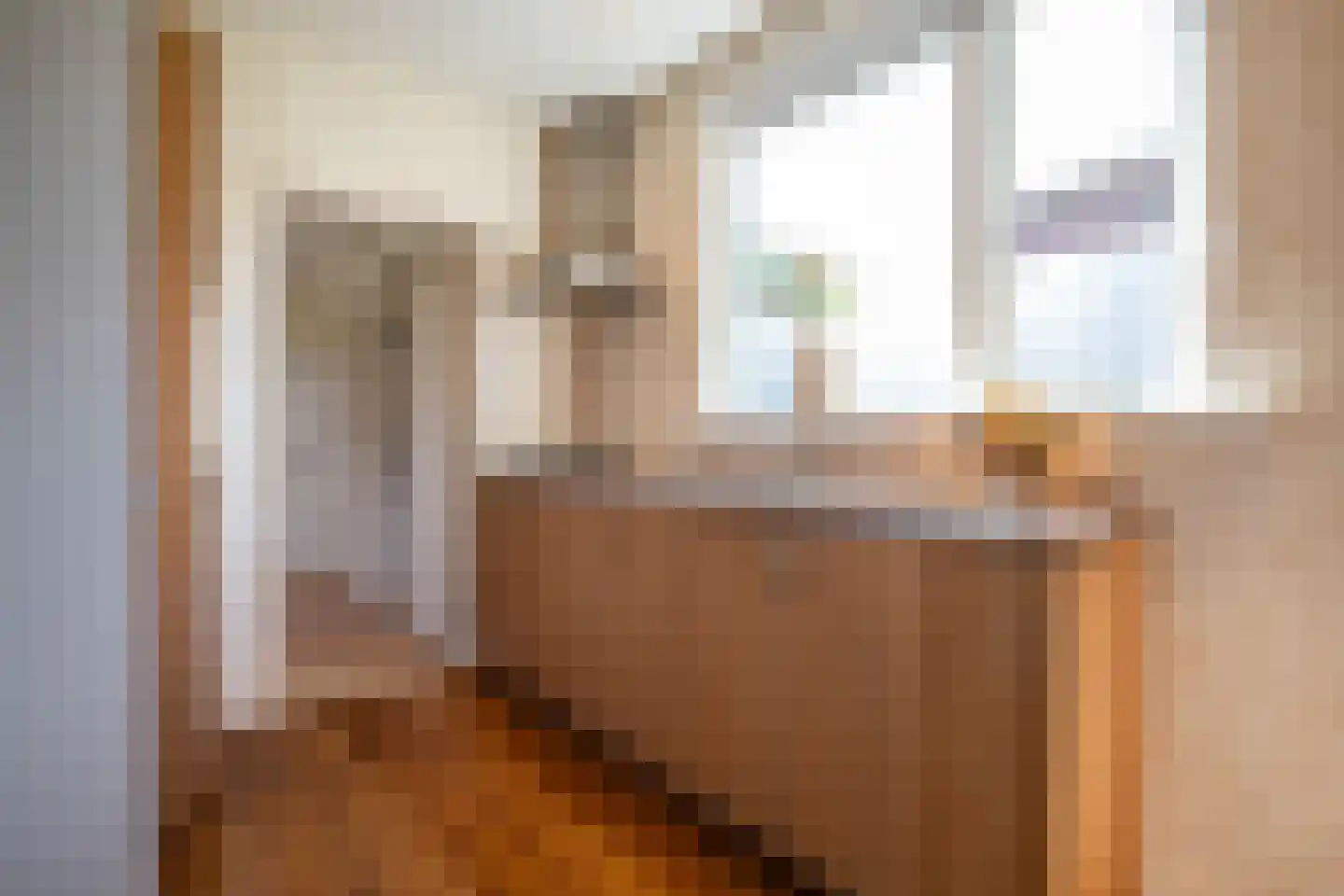 Van Boelenslaan 6 Beetsterzwaag thumbnail 14