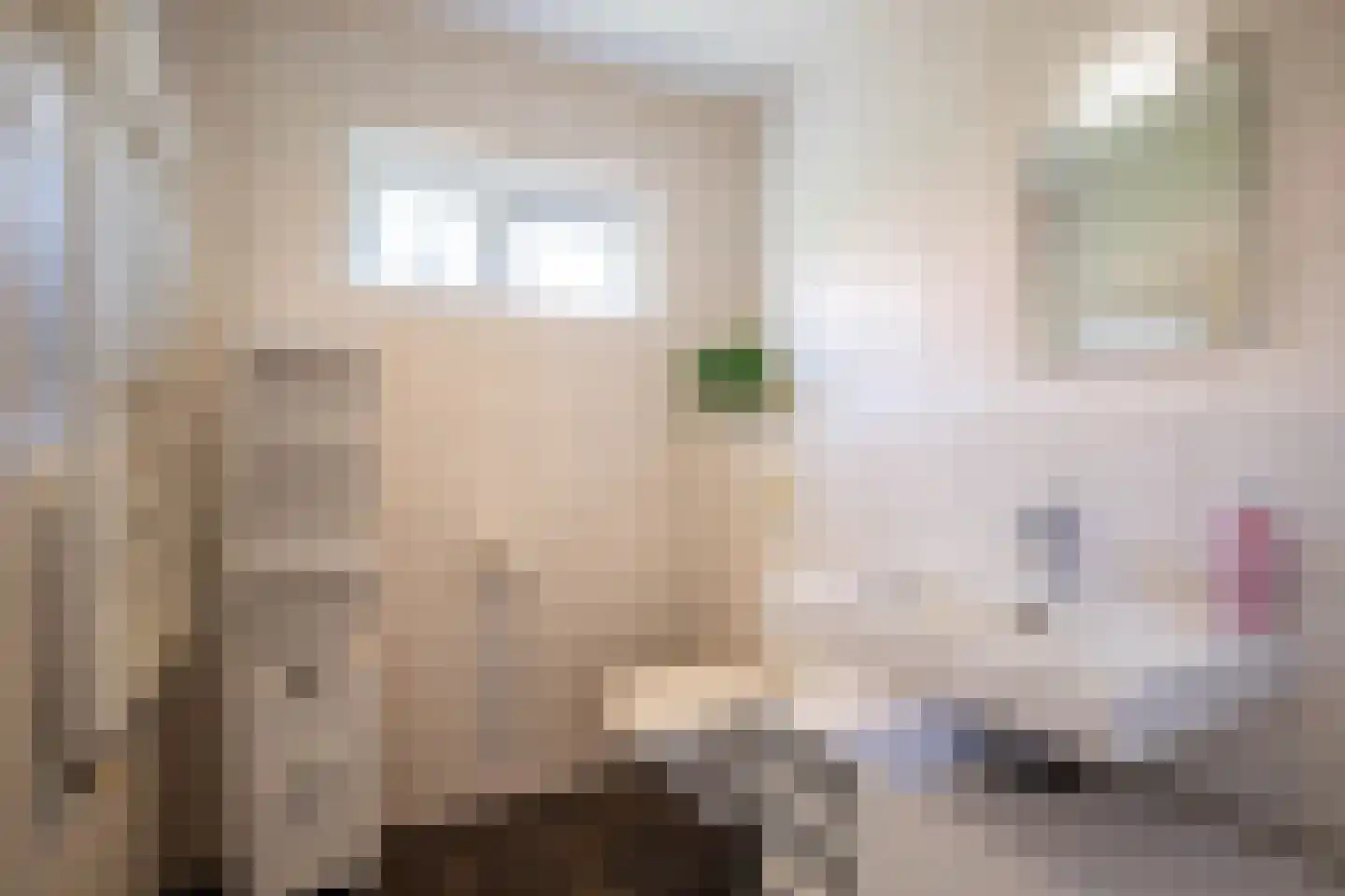 Van Boelenslaan 6 Beetsterzwaag thumbnail 20