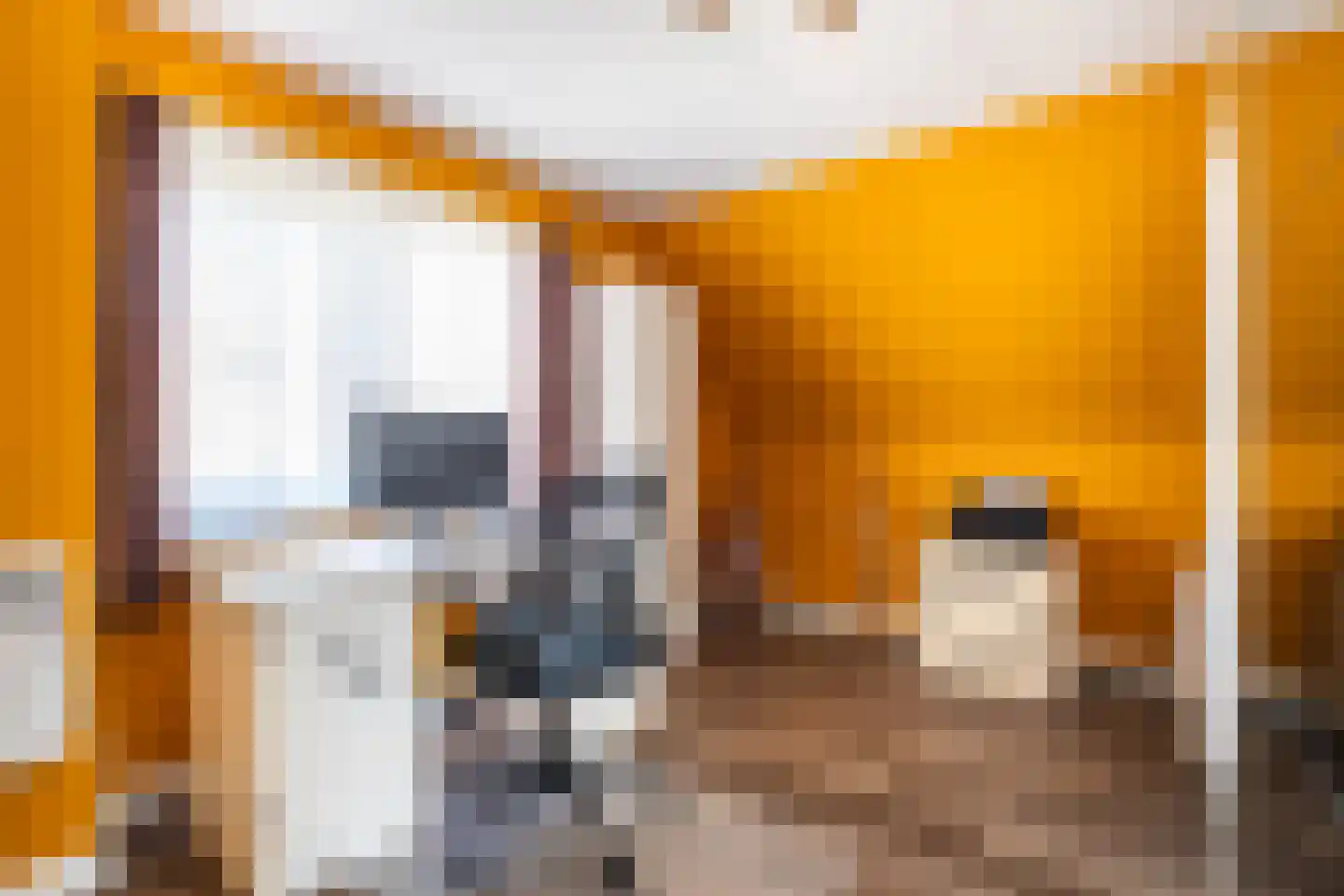 Van Boelenslaan 6 Beetsterzwaag thumbnail 25