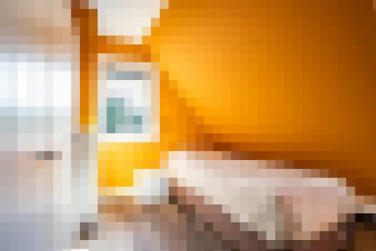 Van Boelenslaan 6 Beetsterzwaag thumbnail 32