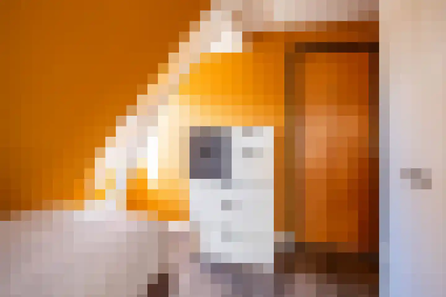 Van Boelenslaan 6 Beetsterzwaag thumbnail 33