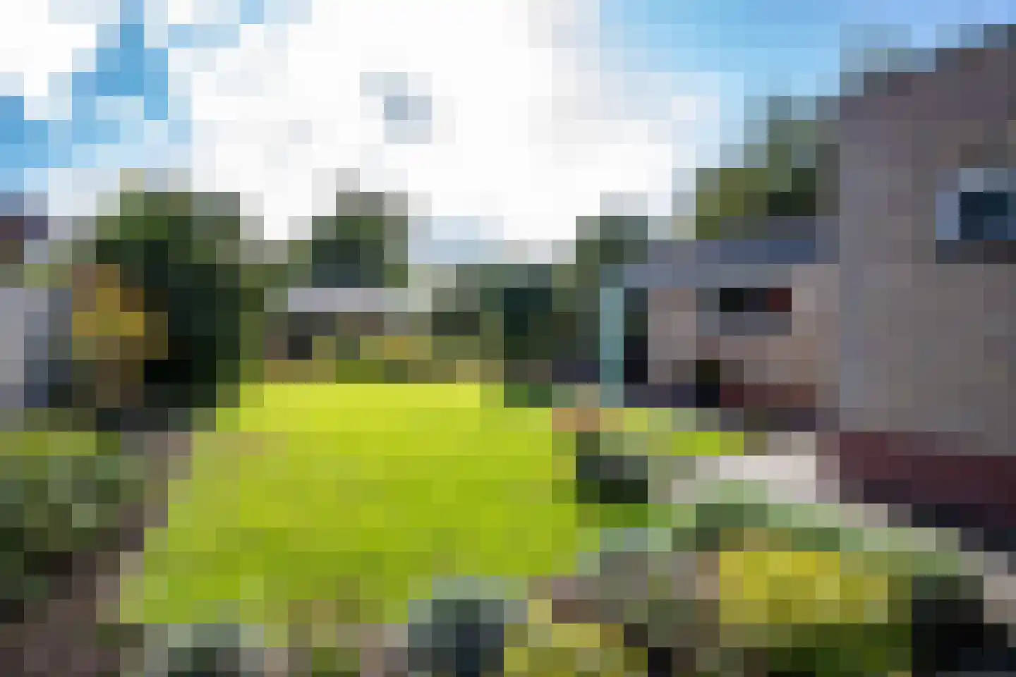 Van Boelenslaan 6 Beetsterzwaag thumbnail 38