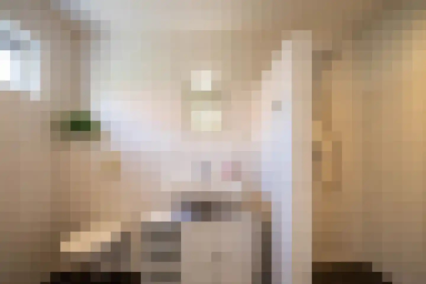 Van Boelenslaan 6 Beetsterzwaag thumbnail 4