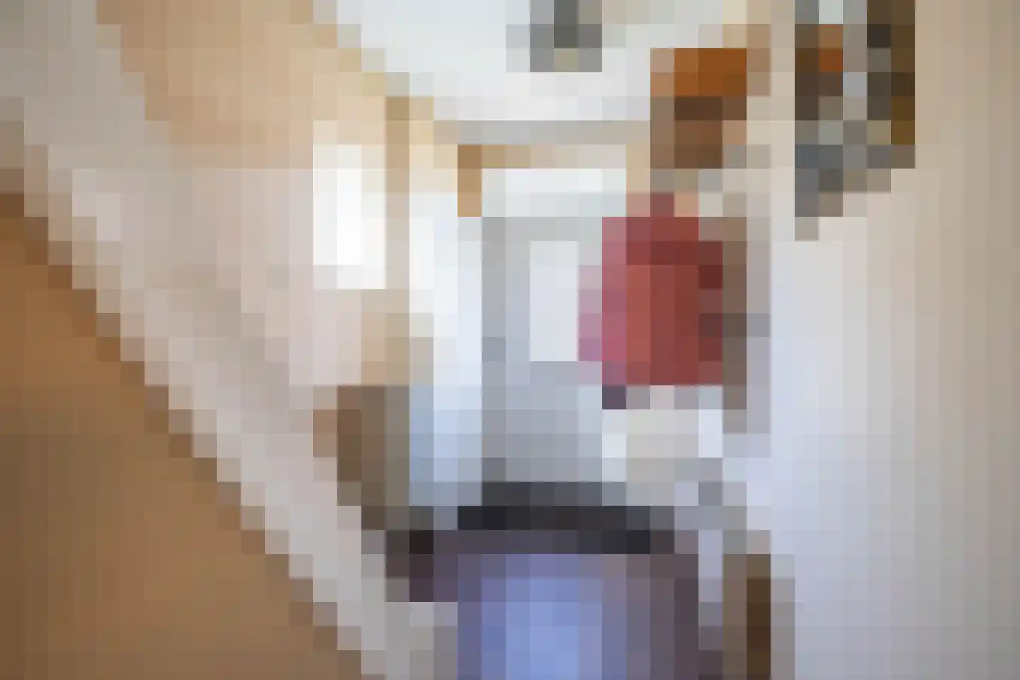 Van Boelenslaan 6 Beetsterzwaag thumbnail 6